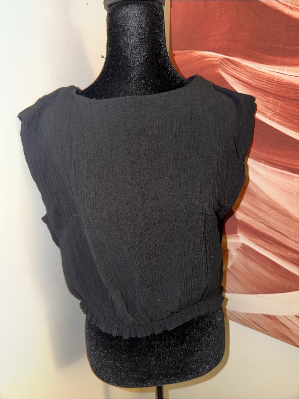 Source Unknown Black Cropped Sleeveless Blouse